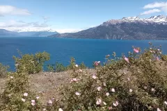 fotos-carretera-austral_077
